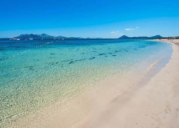 Maina 1919 Daire Pollença